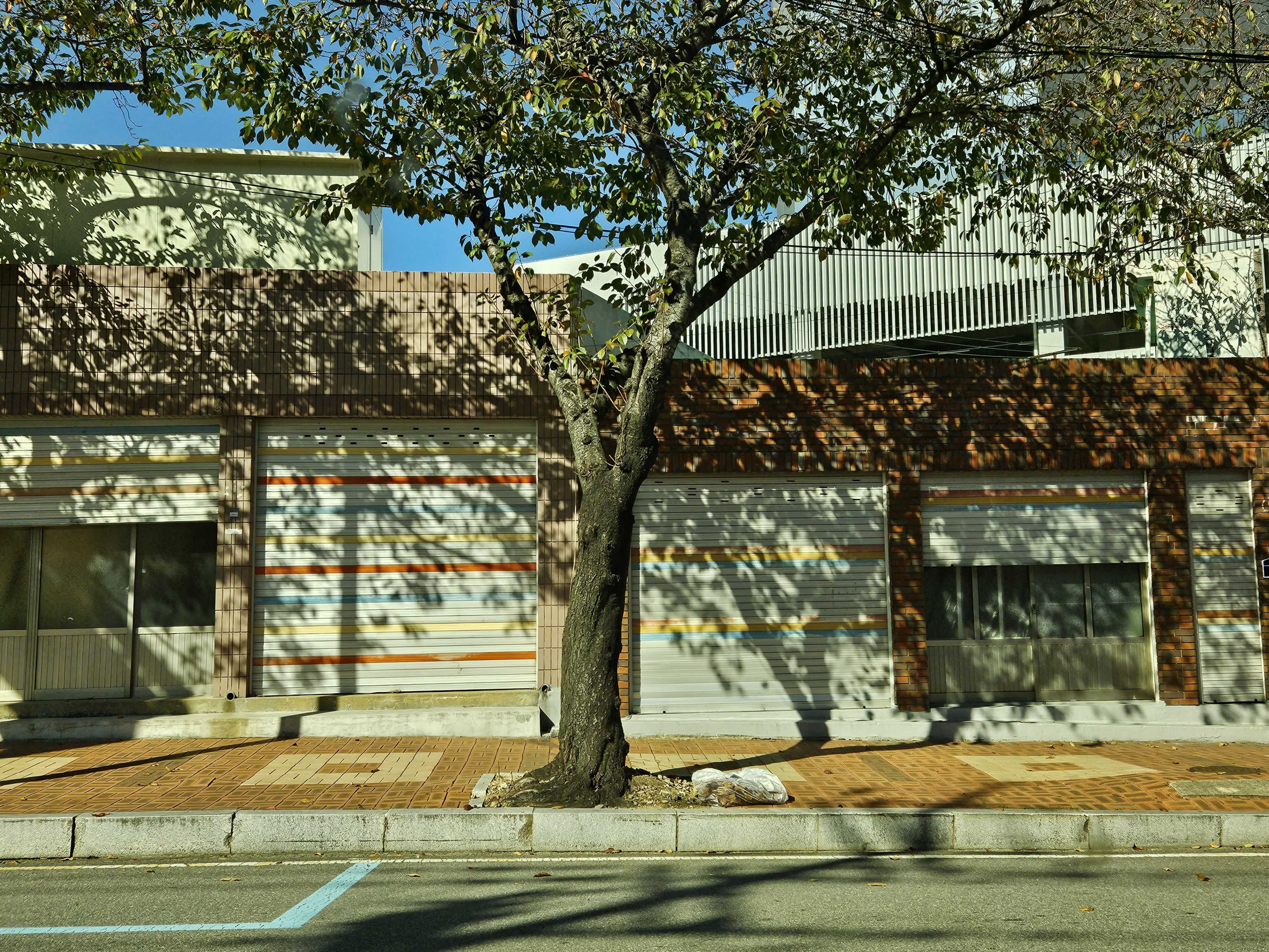 Korea Street